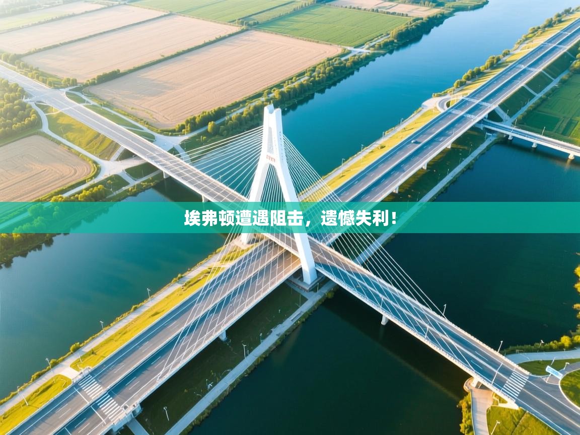 埃弗顿遭遇阻击,遗憾失利! 第1张