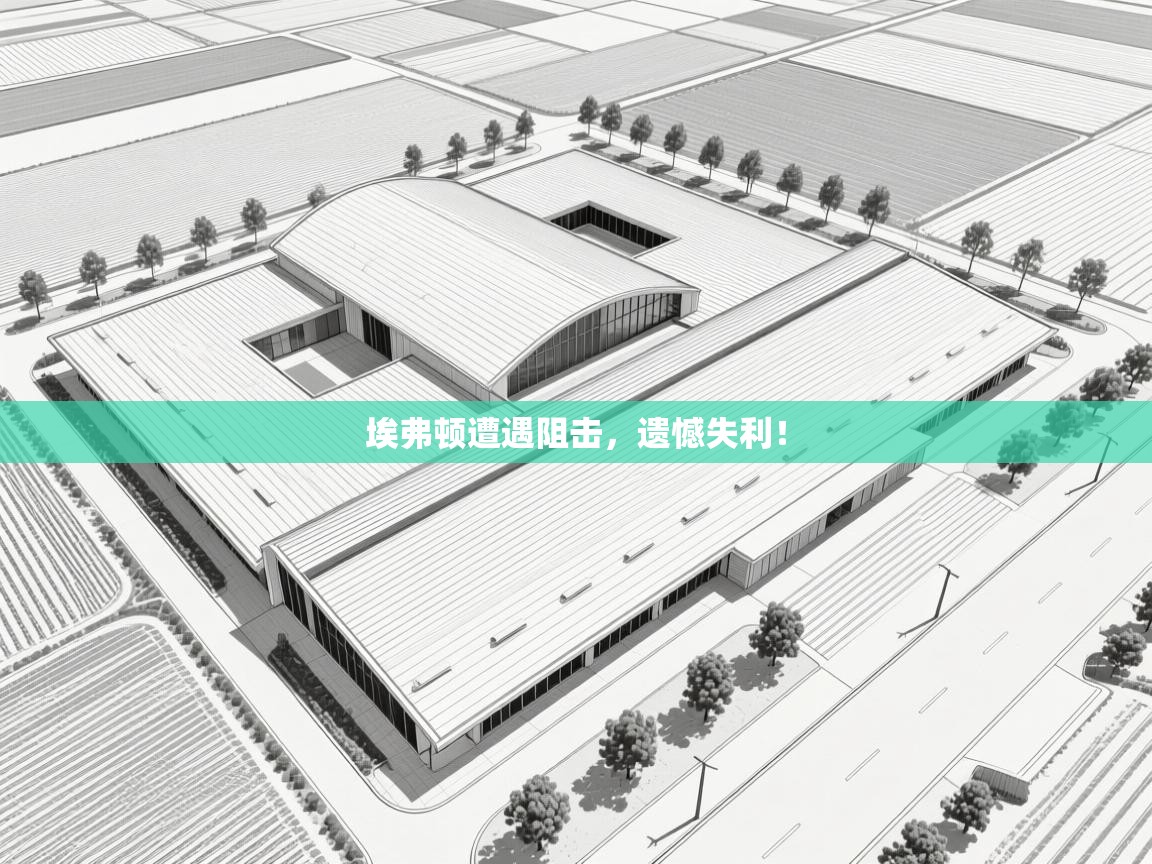 埃弗顿遭遇阻击,遗憾失利! 第2张