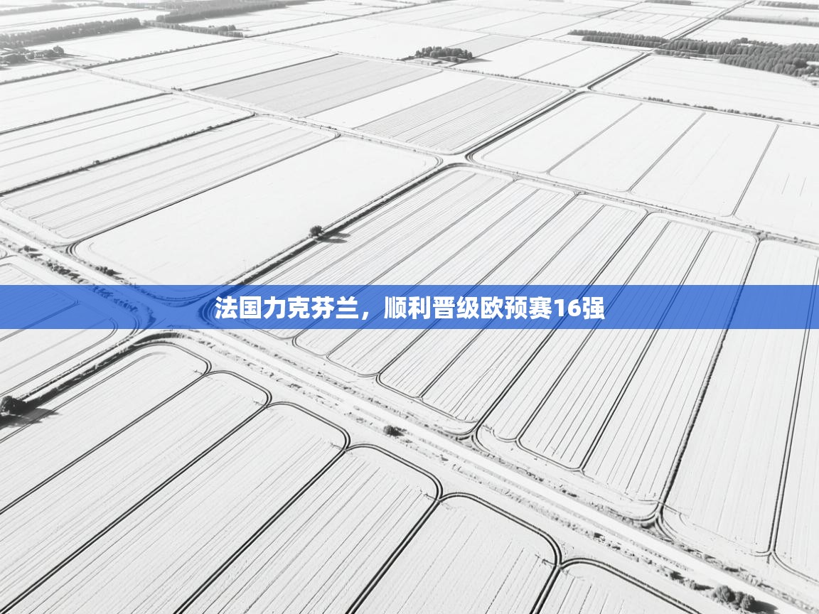 法国力克芬兰，顺利晋级欧预赛16强  第2张