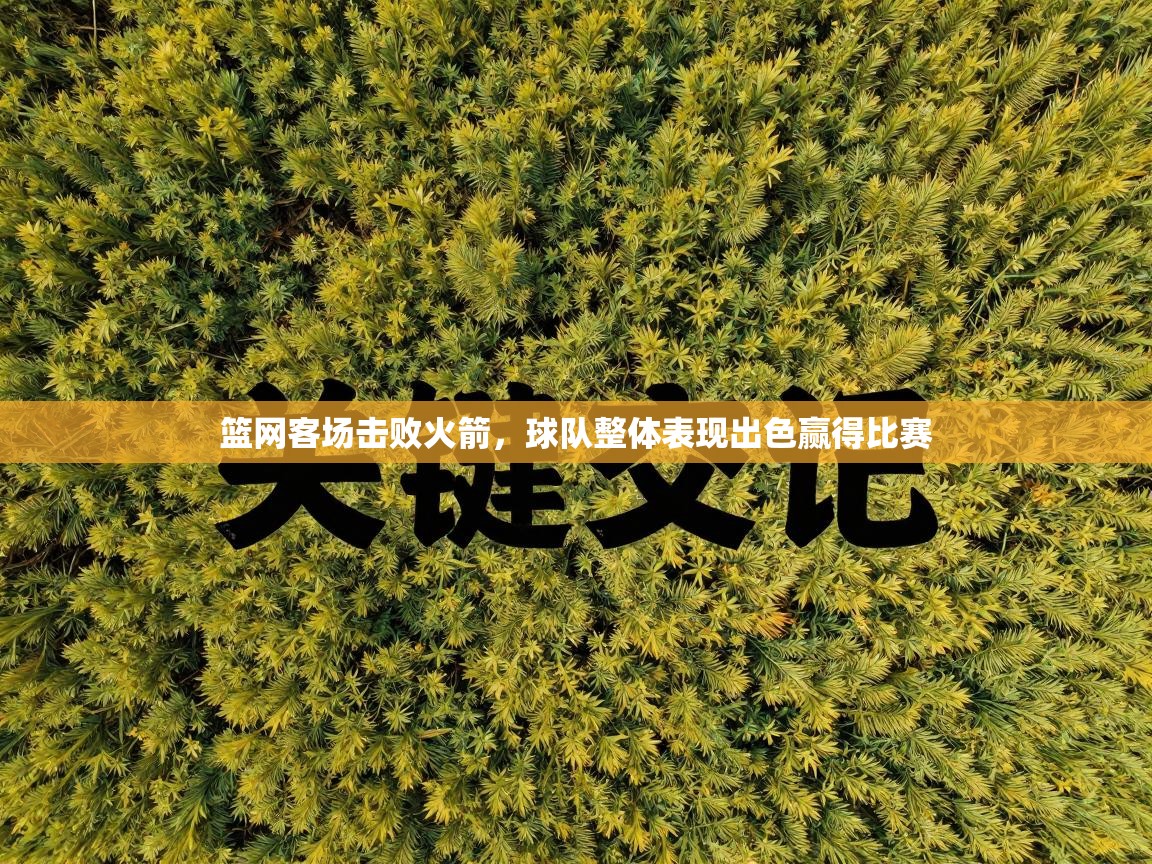 篮网客场击败火箭,球队整体表现出色赢得比赛 第1张